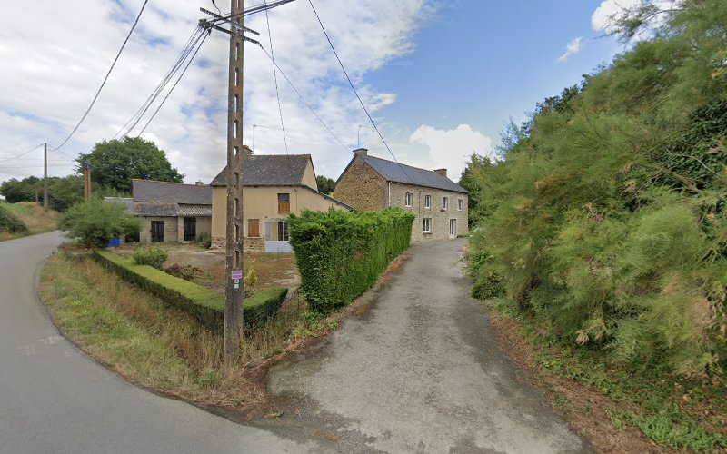 Gîte Le Cèdre Bleu à Caulnes
