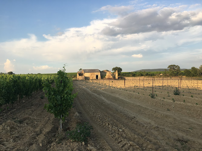 La Campagne du Mas de la Jaune à La Tour-d'Aigues