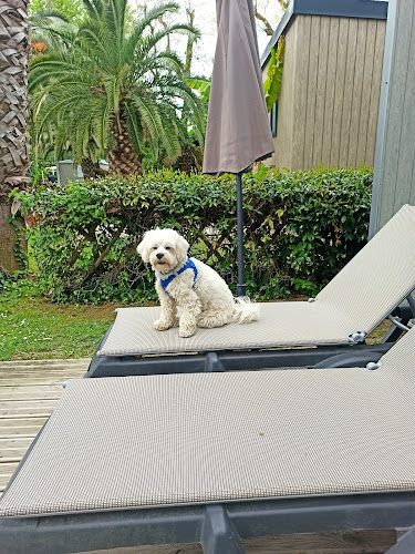 La sirene locatie op de camping à Argelès-sur-Mer
