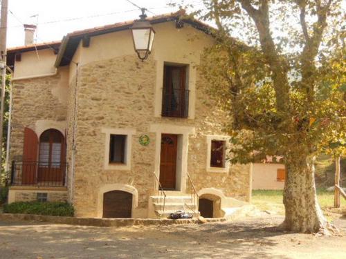 Camélia à MAUREILLAS-LAS-ILLAS