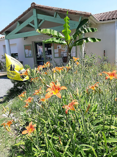 Camping du Parc à Étaules