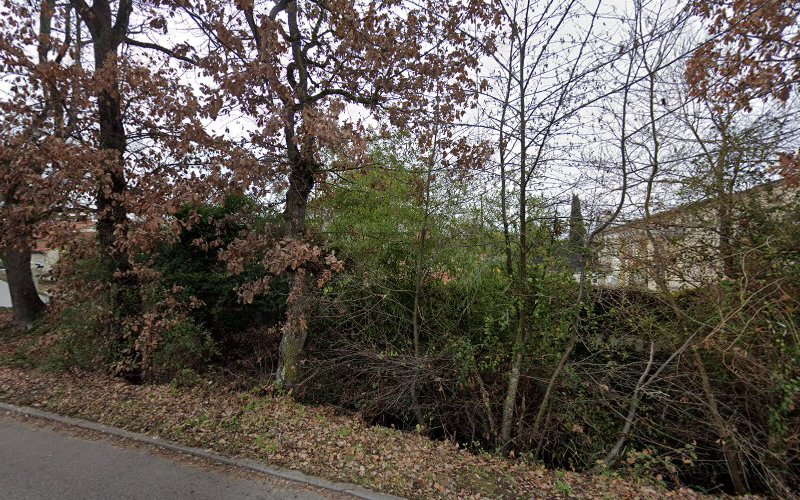 Au Jardin de la Saudrune à Villeneuve-Tolosane