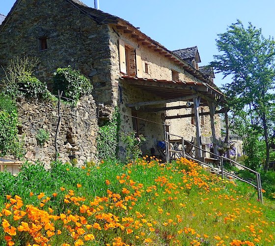 La Vie au Grand Vert à Saint-André-de-Najac