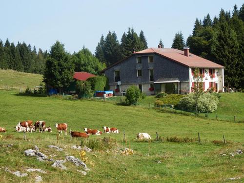 La Ferme de l'Estive à LAMOURA