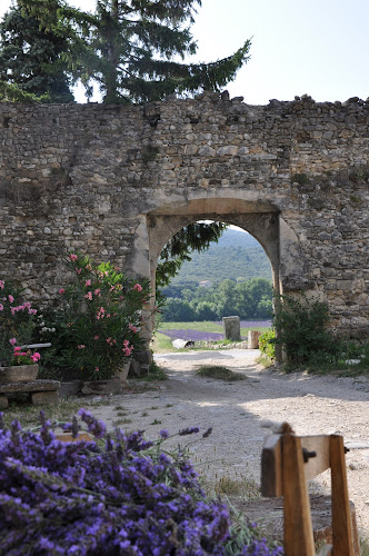 Gtes du Chteau d Alenon  la montagne Bien-tre à Roche-Saint-Secret-Béconne