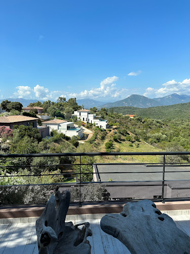 Domaine Olmeta