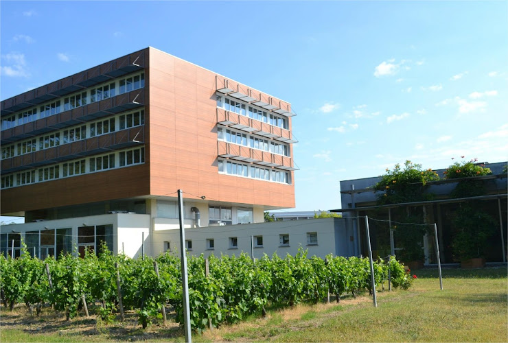 Hôtel de Guyenne à Talence