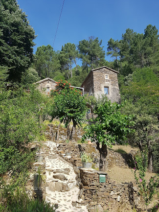 Le Mas des Sources Cévenol à Chambon