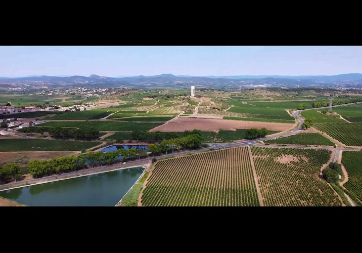 Domaine Des Terrières à Plaissan