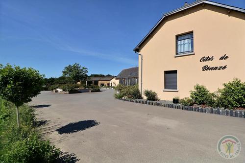 Stibine à Noyal Sur Vilaine