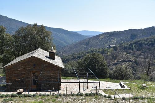 La Vigne à Saint Martin De Lansuscle