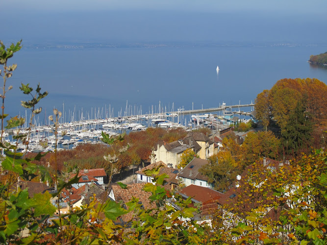 La maison de Concise à Thonon-les-Bains