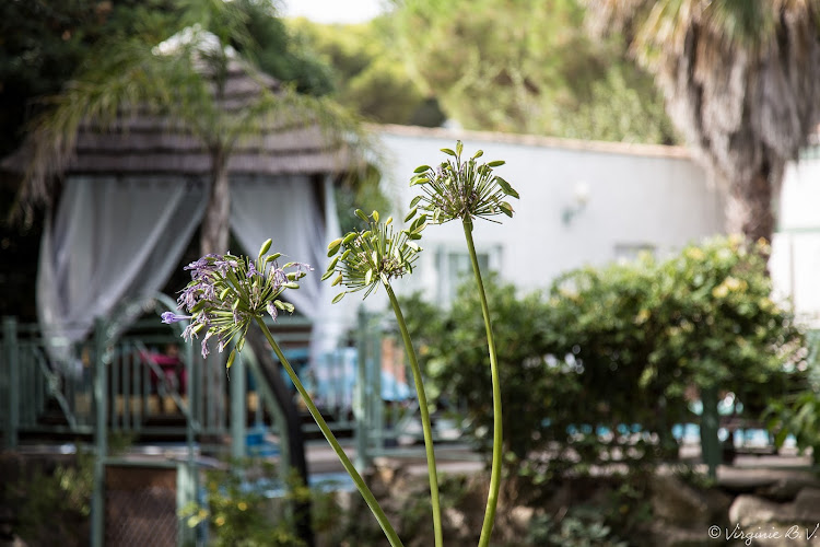 Villa Lantana à Le Cap D'Agde