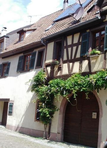 Montagne à Kaysersberg Vignoble