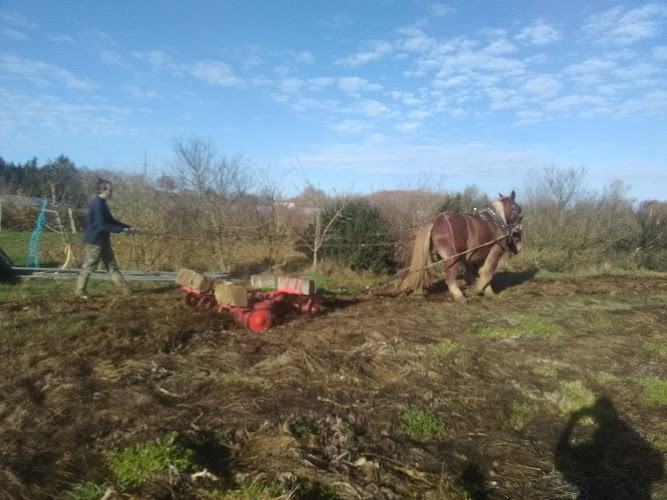 Ferme Canopée à Sansan