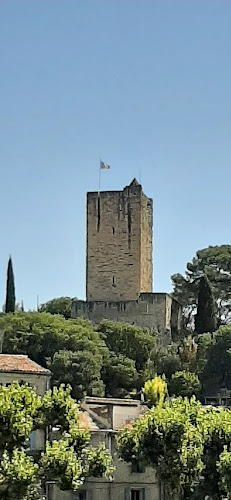 Chteau de Sommires à Sommières