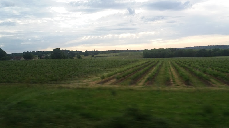 Le Mas Saint-Jean à Val-de-Livenne