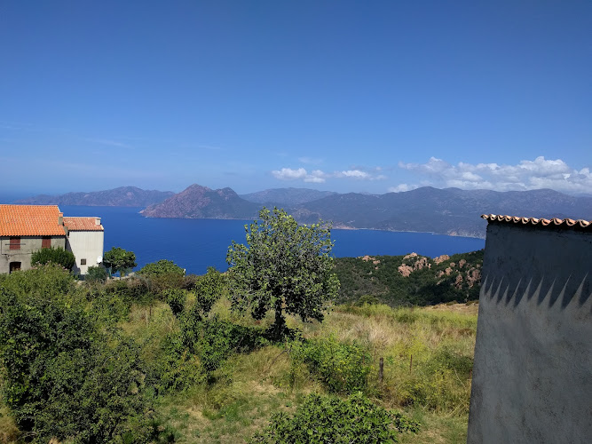 Résidence de la Tour à Piana