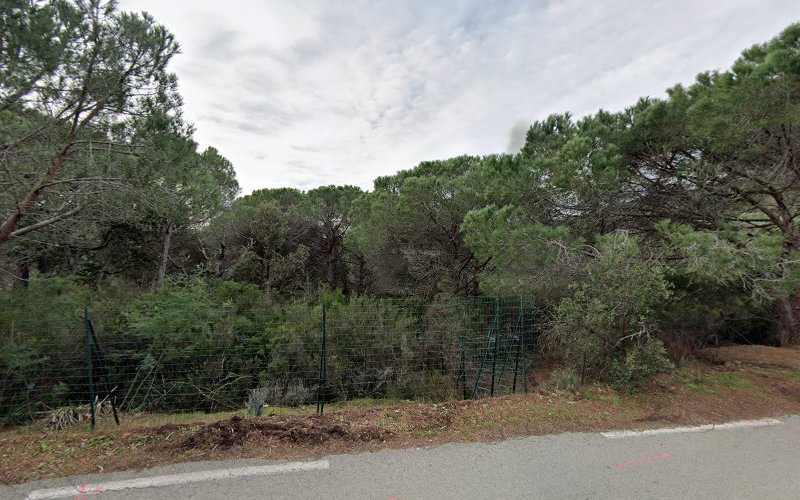 Villa de prestige Ramatuelle à Ramatuelle