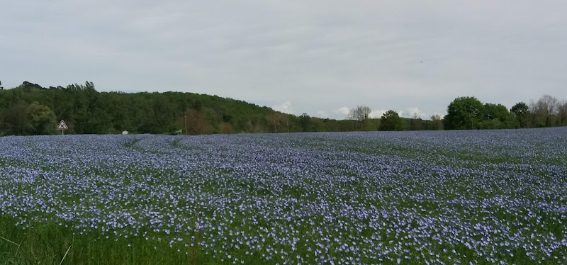 La Sauzière-Saint-Jean à La Sauzière-Saint-Jean