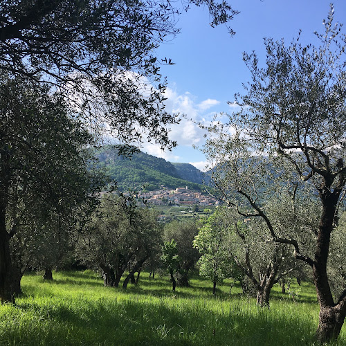 La Chênaie à Le Bar-sur-Loup