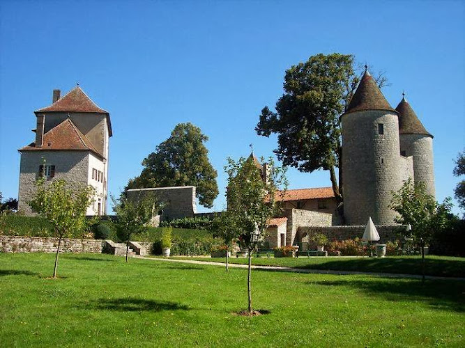 Chateau d Andelot à Andelot-Morval