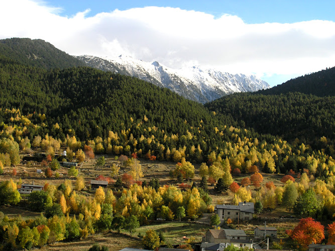 L Orri de Planès à Planès