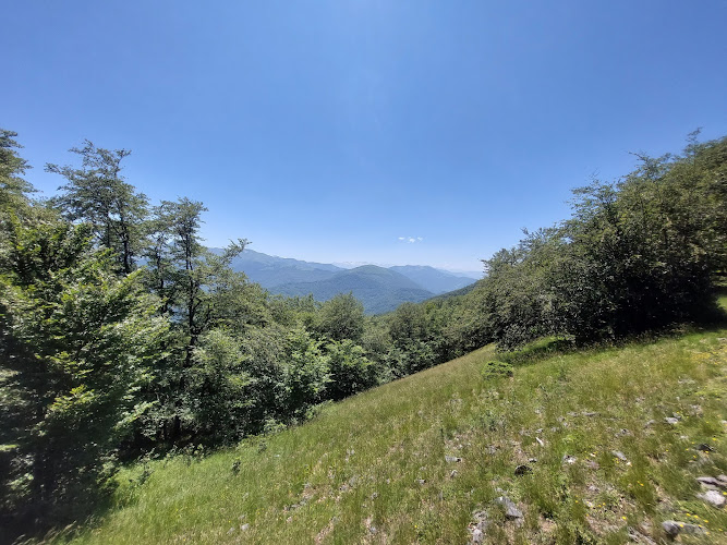 Arbas à Arbas