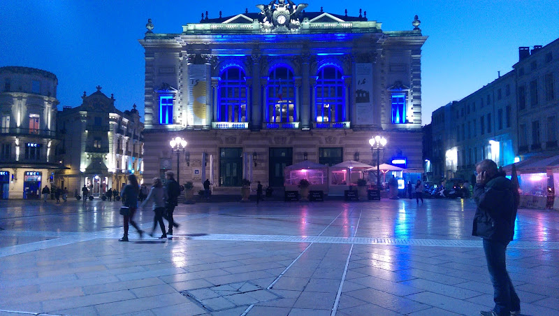 Palais Des Rois d Aragon à Montpellier