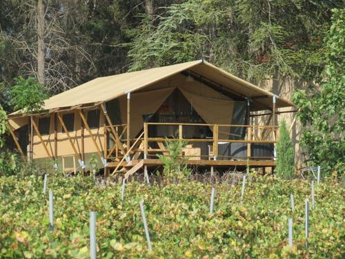 Lodge Grenache à Laure Minervois