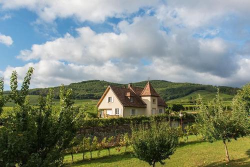 Kaefferkopf à Ammerschwihr