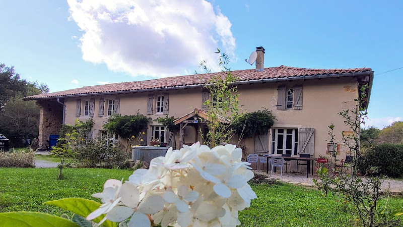 La Première Vigne à Puycelci