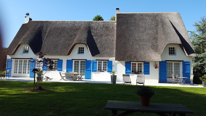 Les Nympheas à Saint-Lyphard