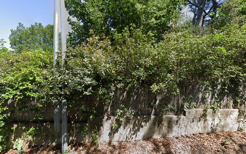 Le mas de la Pinède à Saint-Rémy-de-Provence