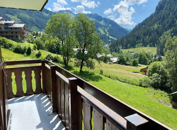 Appartement Les Gentianes Chtel à Chtel