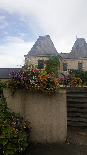 Camping Municipal de L Écluse à Bellevigne-en-Layon