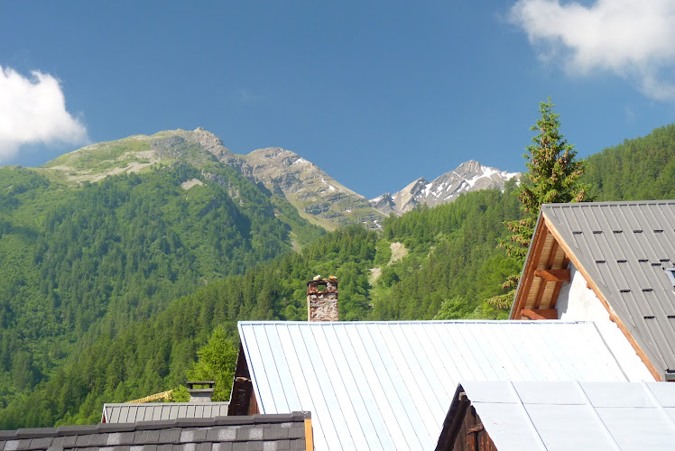 Gîte les Gentianes à Montricher-Albanne