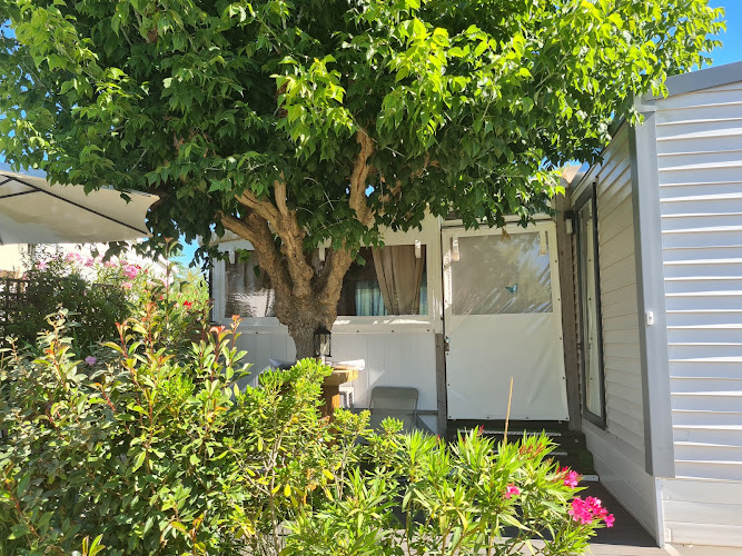 Camping Saint Pierre Des Horts à Hyères
