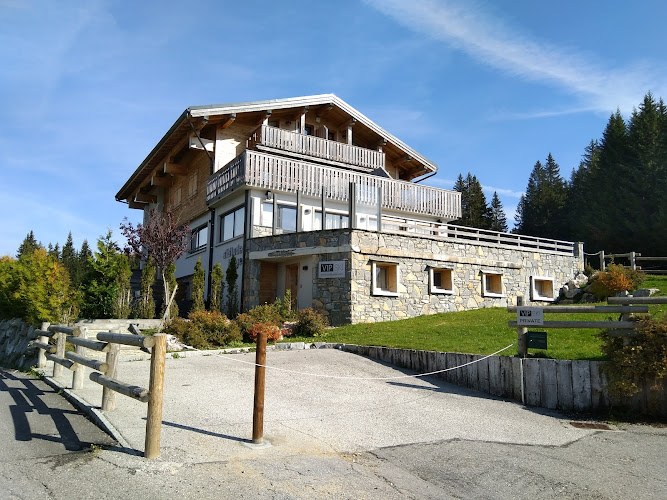 Vip Ski à Les Gets