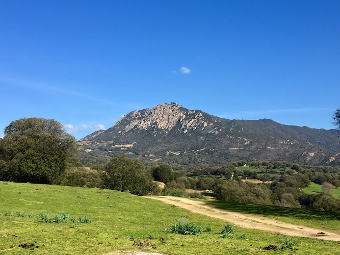 Sant Andréa-d Orcino à Sant'Andréa-d'Orcino