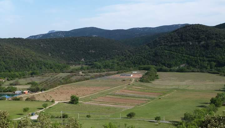 GAEC Les Jardins de la Buèges à Saint-André-de-Buèges