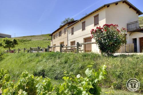 Gîte de l'Artisan-Vigneron à FLEURIE