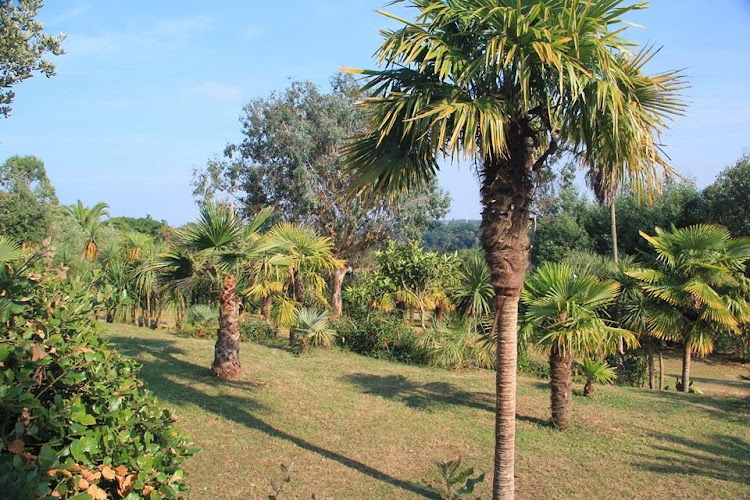 Camping des Palmiers à Binic-Étables-sur-Mer