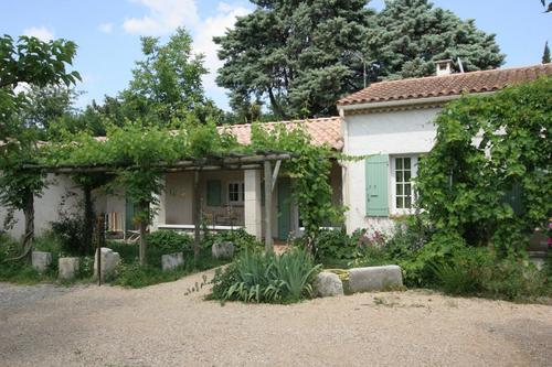 La Vigne à Saint Remy De Provence