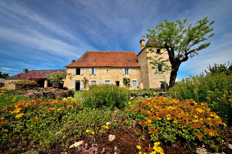 Castle Cantecor à Alvignac