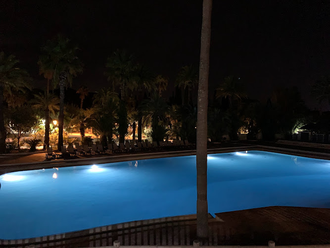 Palmeraie L101 à Fréjus
