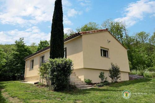 L'Araucaria à MEYRAS