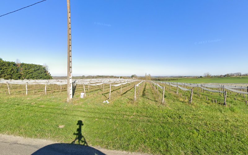 Camping à Durfort-Lacapelette