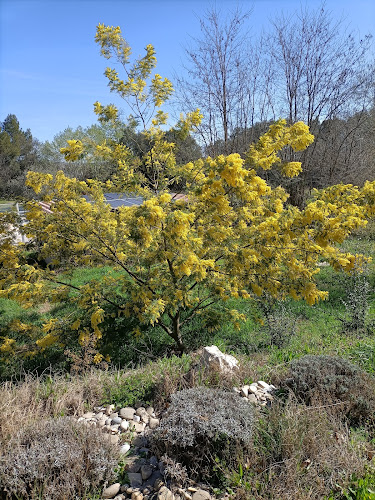 Campagne St Christophe à La Roque-d'Anthéron