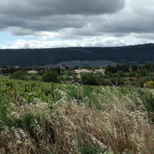 Camplong-d Aude à Camplong-d'Aude